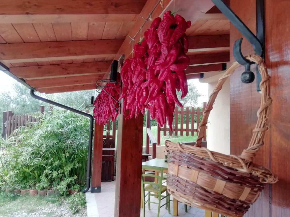 Le Chalet Del Pollino Ротонда Екстериор снимка